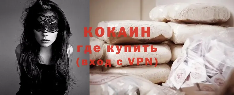 Cocaine Эквадор  где купить наркотик  Правдинск 